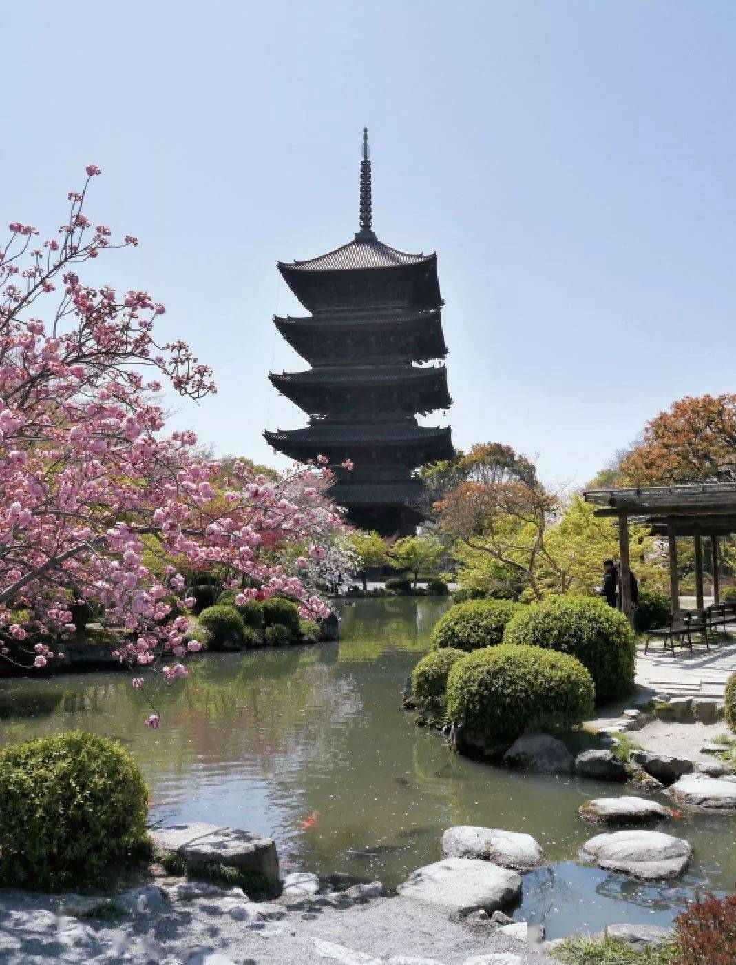 空海與日本寺院中的唐代佛像_金刚顶