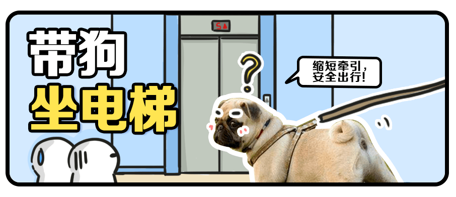带狗坐电梯,发生了可怕的一幕!