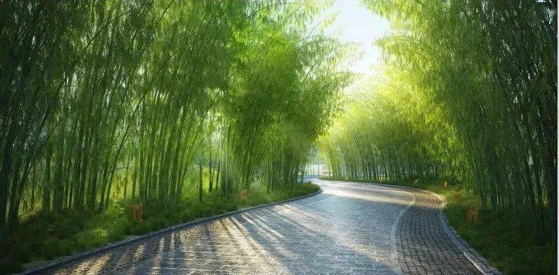 彭山竹韵廊公园即将完工啦!