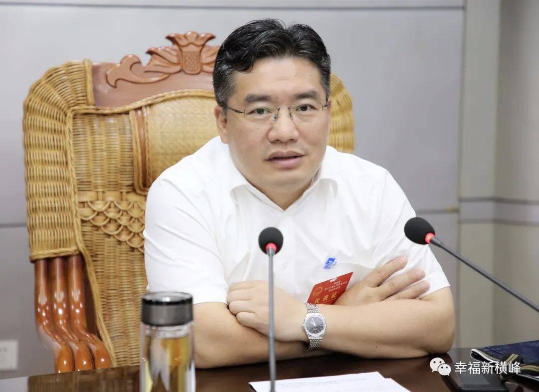 聚焦两会县委书记饶清华参加葛源镇代表团审议