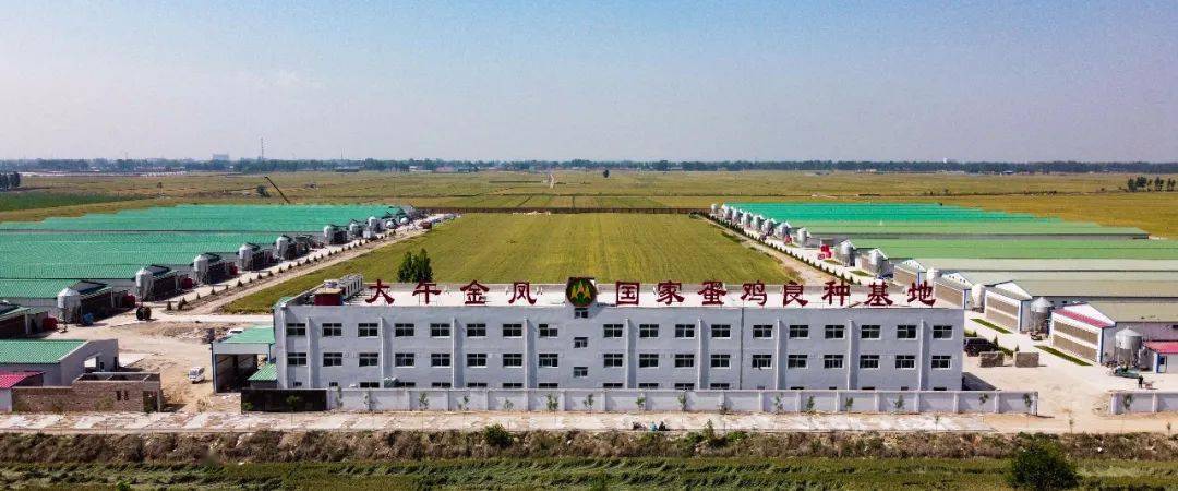 【凝心聚力·砥砺前行】2020河北大午种禽公司第十五届经销商大会成功