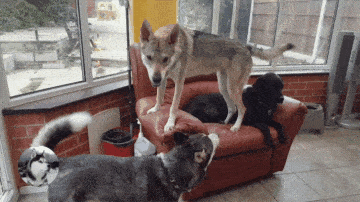 360_202gif 动态图 动图