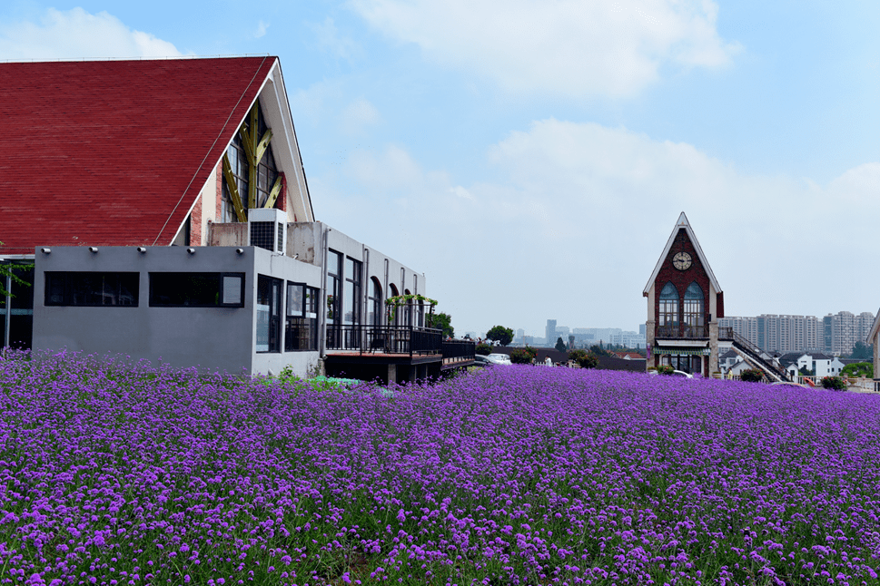 活动回顾记六六大顺的日子无锡之行