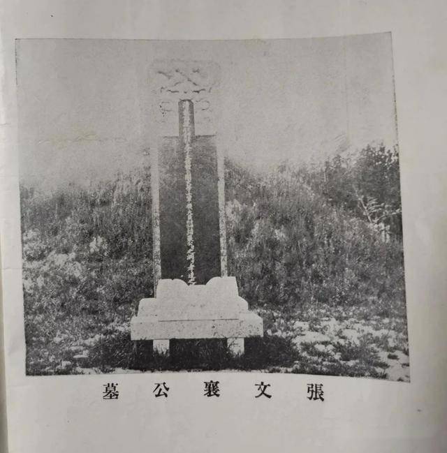 历史中的两个张南皮