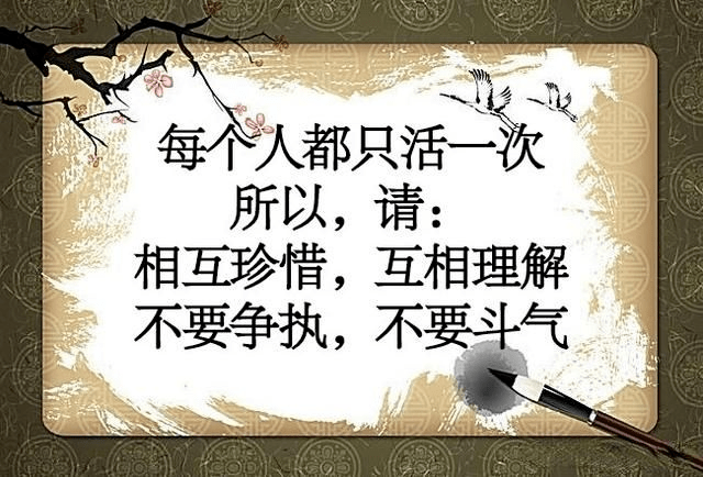 我不聪明,但我也不傻