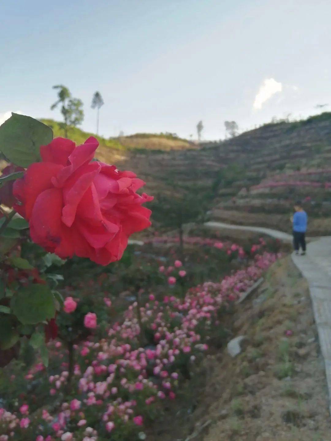宝庆风情龙瑶幽谷露营迷失花灵谷