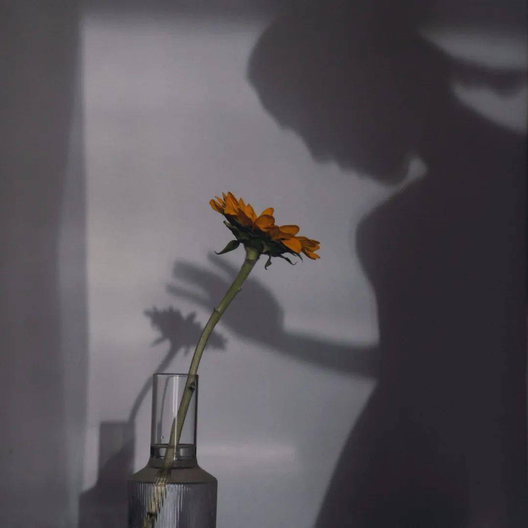 朋友圈背景图头像套图天如水