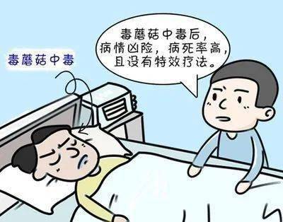市疾控紧急提醒:湘潭发生多起野生毒蘑菇中毒事件!
