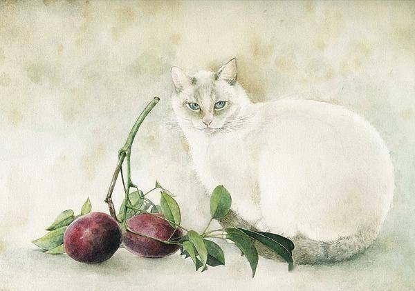猫幸运的象征作者日本画家midoriyamada
