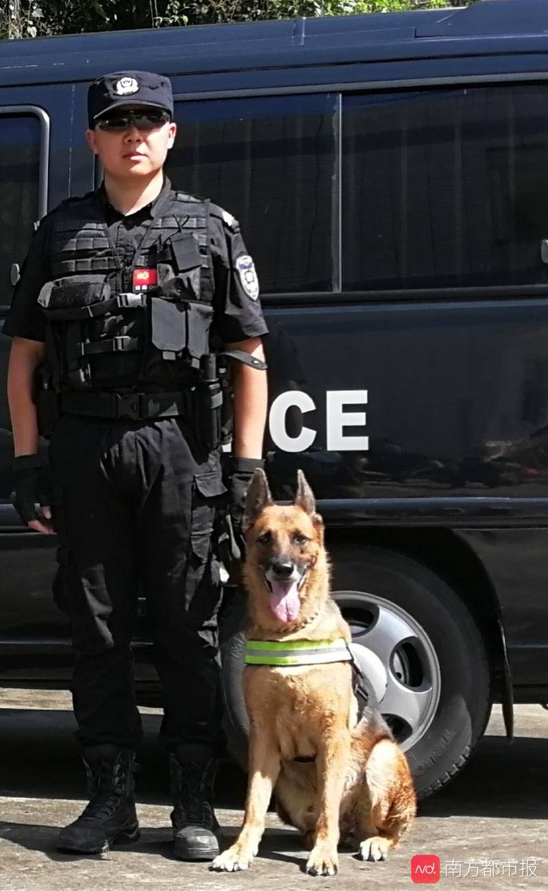 得知2只退役警犬寻领养人江门100多市民报名了