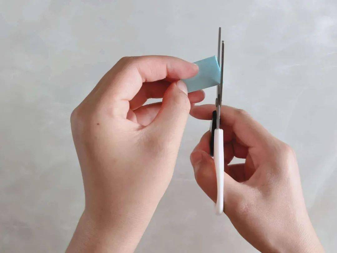 第五步:将剪好的纸条展开,就是一条毛毛虫了.