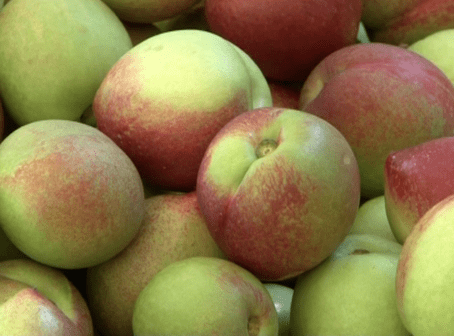 保山| 昌宁沧江边上红桃甜 增收致富好产业_桃子