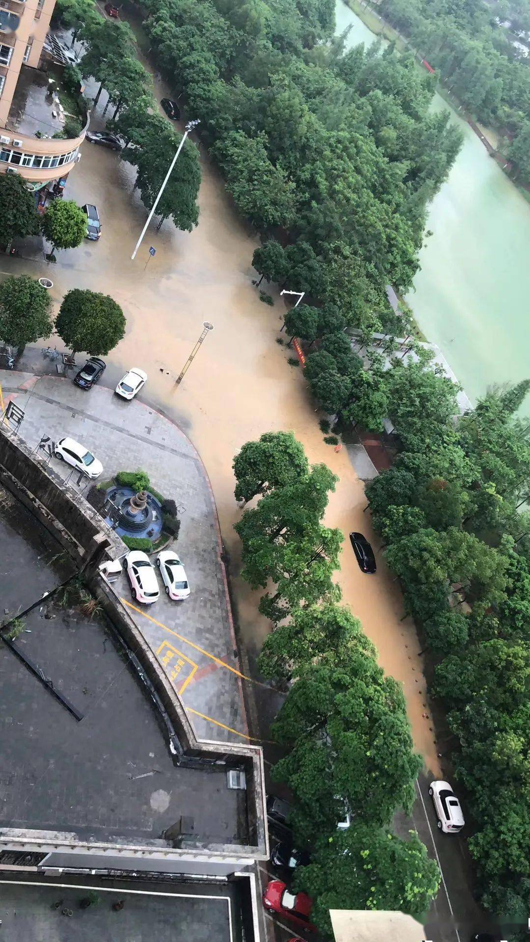 来宾天气全景图图片