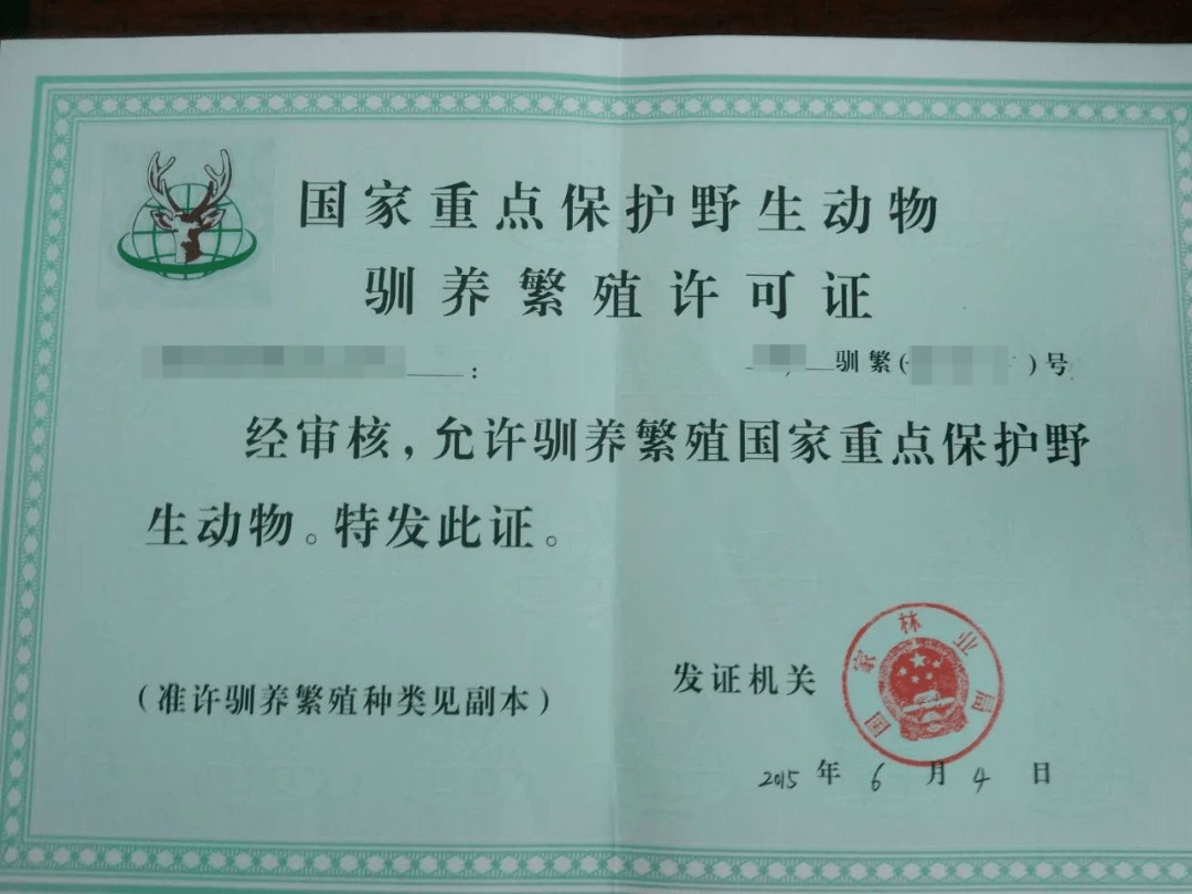 禁野令下梅花鹿养殖悄然崛起