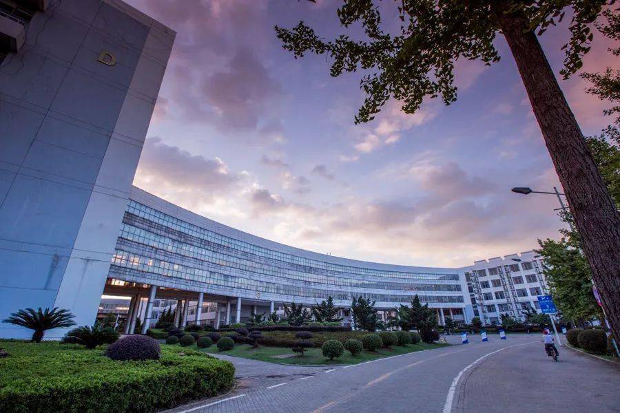 华中大真爱粉等级测试