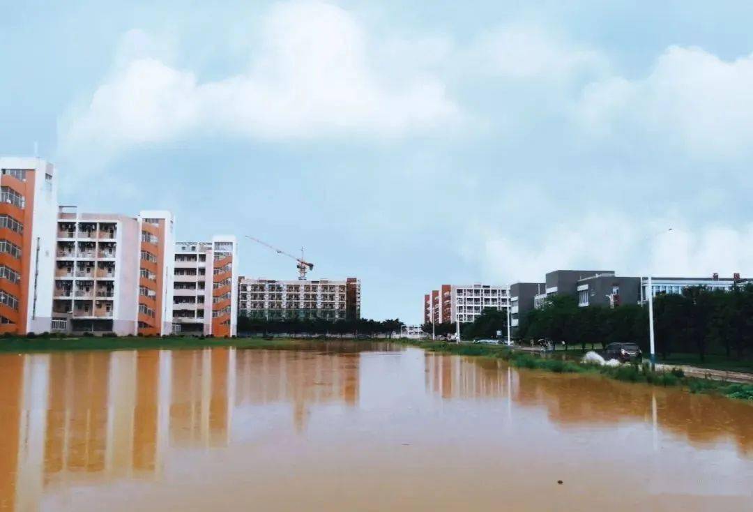 广西师范大学也"未能幸免",地处雁山区相思江畔的暴雨造成多地严重