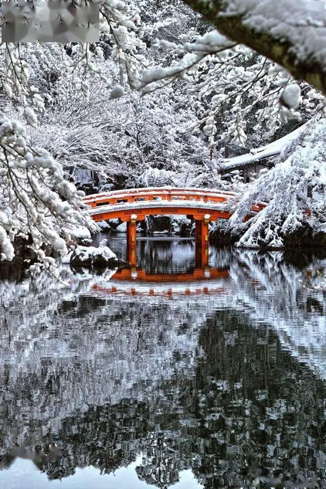 国清寺雪景图片