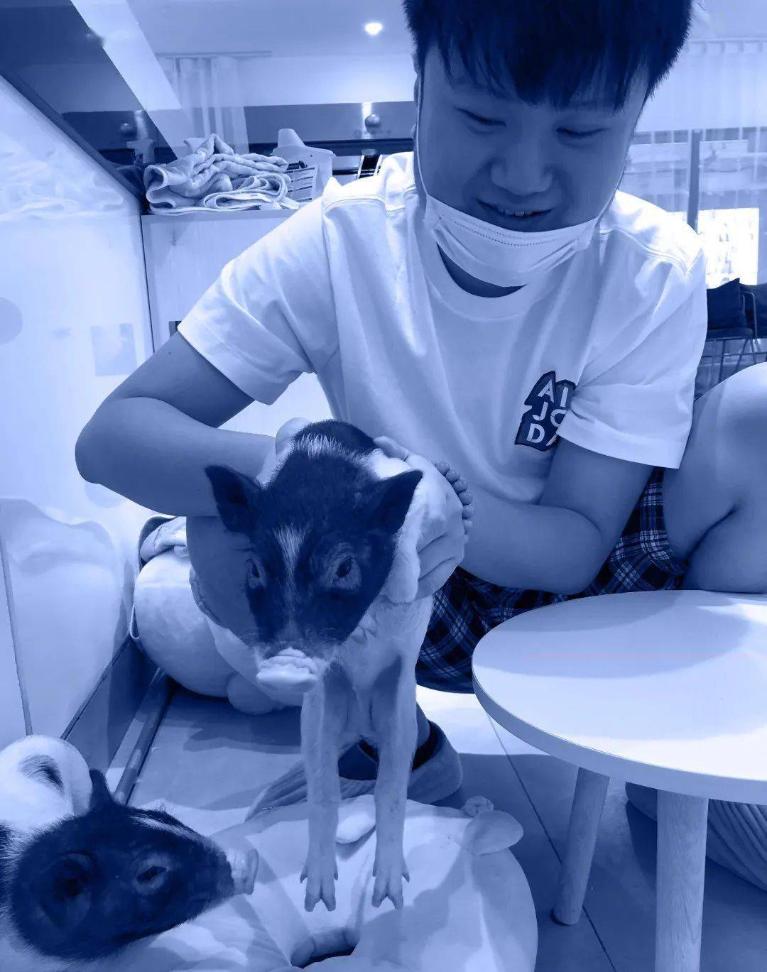 伍子健天行健 君子以自强不息海报设计:《桃花坞》指导教师:牧婧书籍