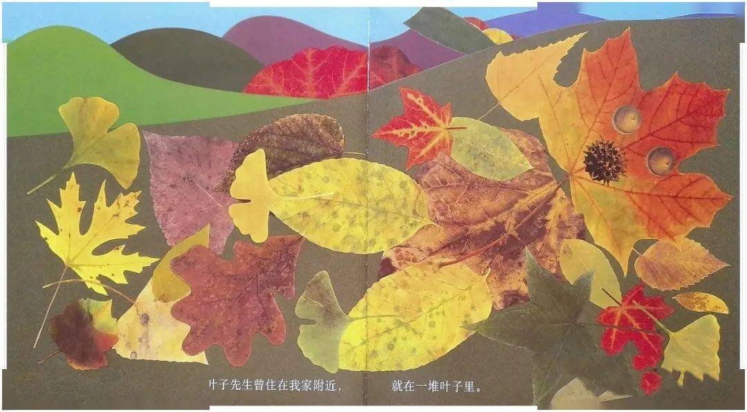 靖晗姐姐讲故事叶子先生