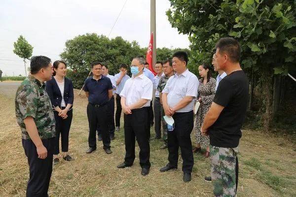 馬宏偉在鮑溝鎮宋莊小麥收割現場督導