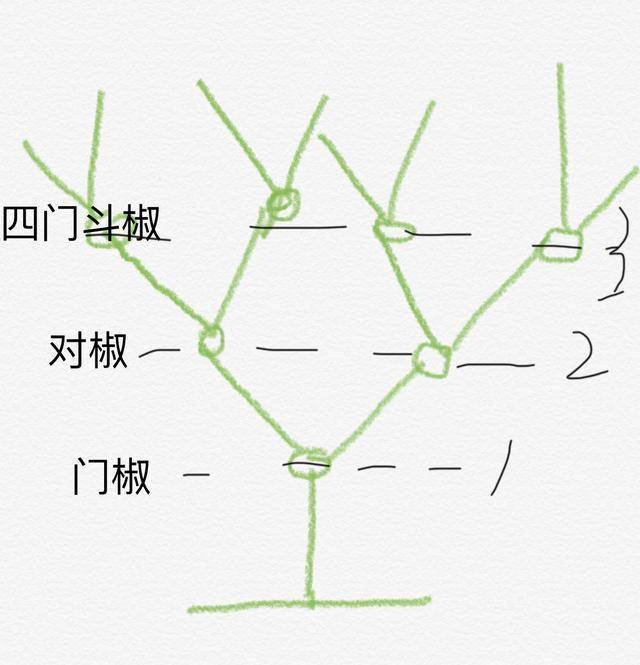 辣椒种植,门椒,对椒是留还是摘?学会这些栽培方法,高产丰收