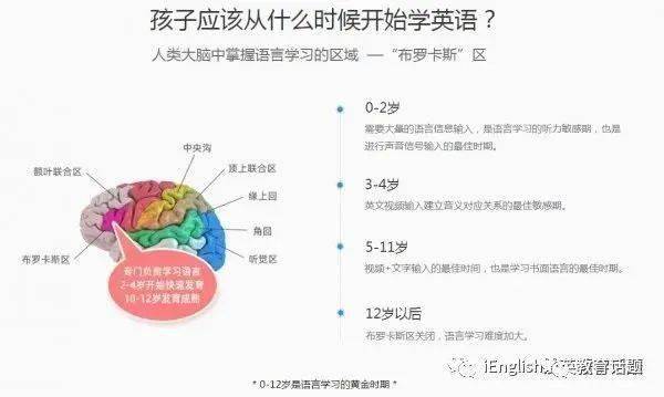 抓住语言学习的黄金发展期终生受益匪浅