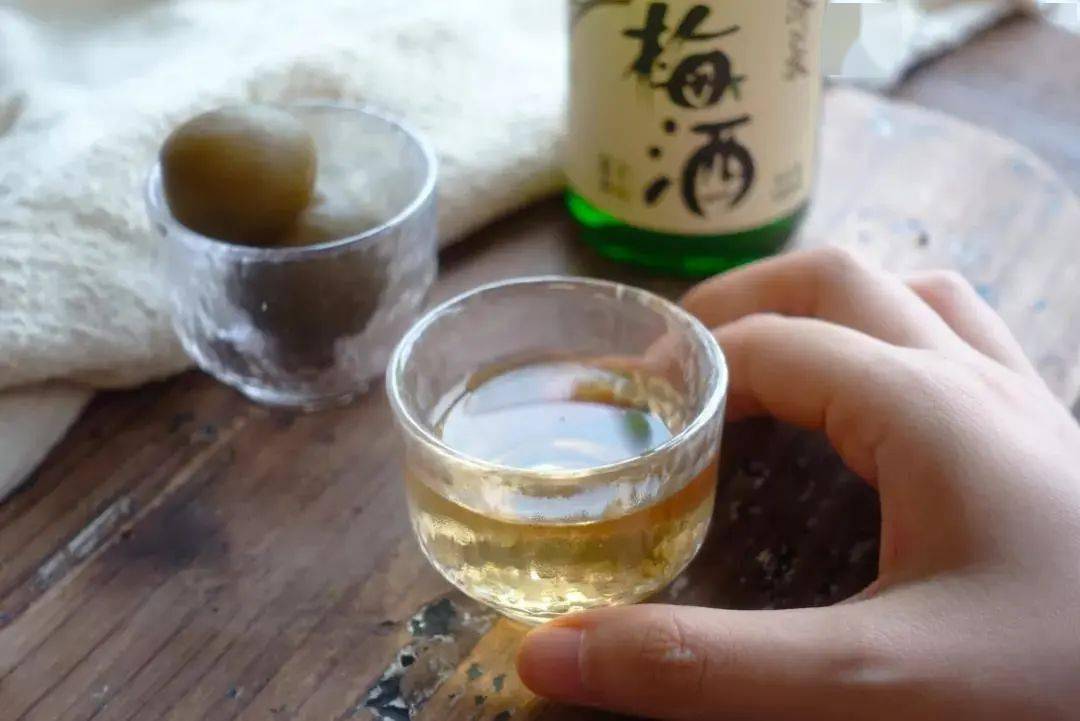 今日福利这支老厂出品的梅子酒一点不输日本大牌不到百元微醺