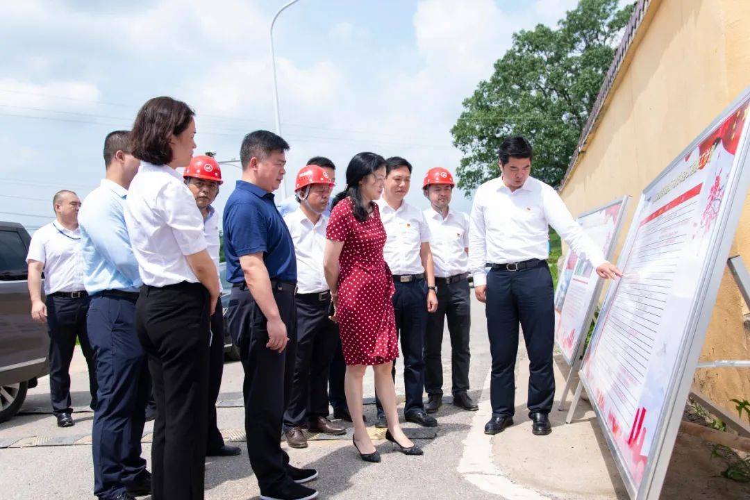 办主任秦国良与湘江集团党委书记,董事长张利刚及班子成员杨淑岚,戴旭