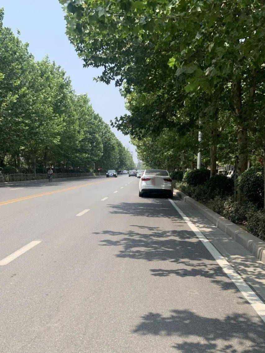 曝光!濮阳某行车道上出现这一现象,网友看了之后都怒了!_车辆