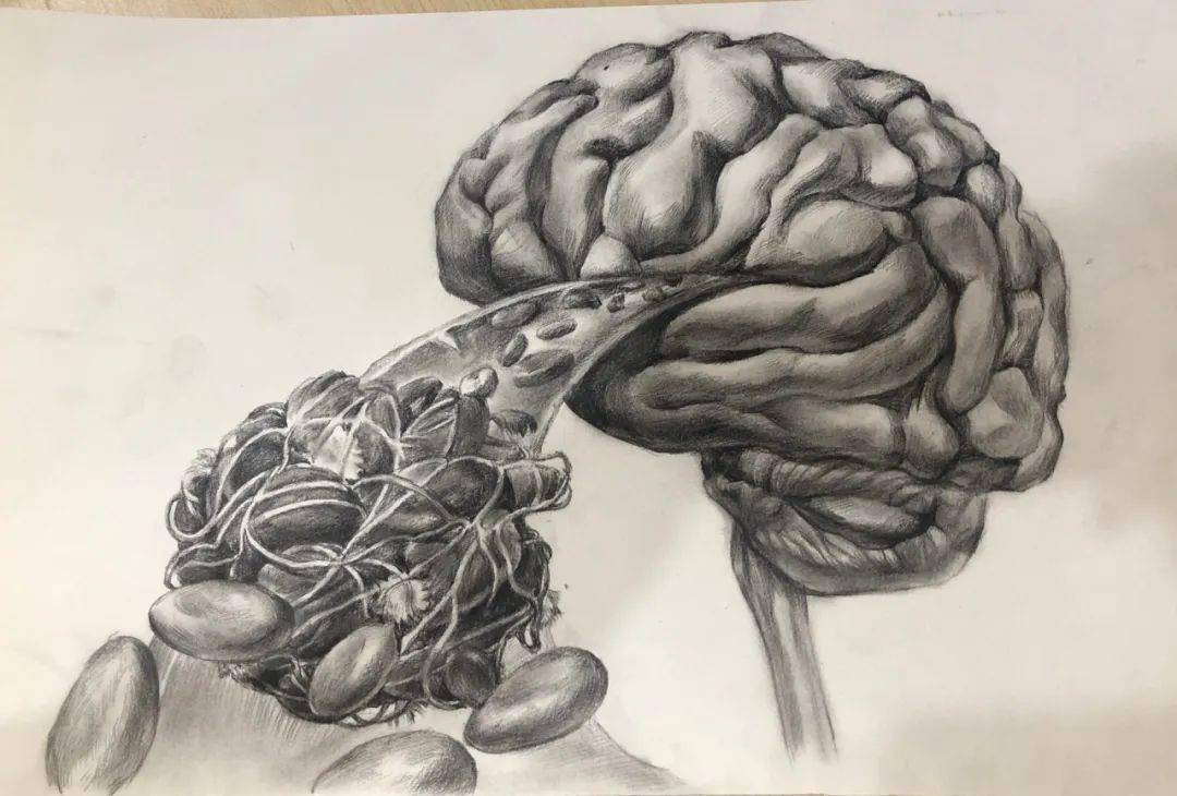 南医说我们把生命的故事画给你看