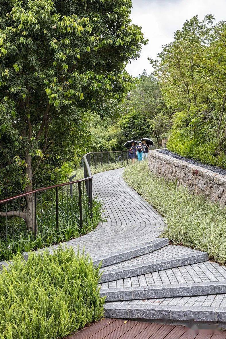 深圳园林作品南山首条玻璃栈道360全景看西丽