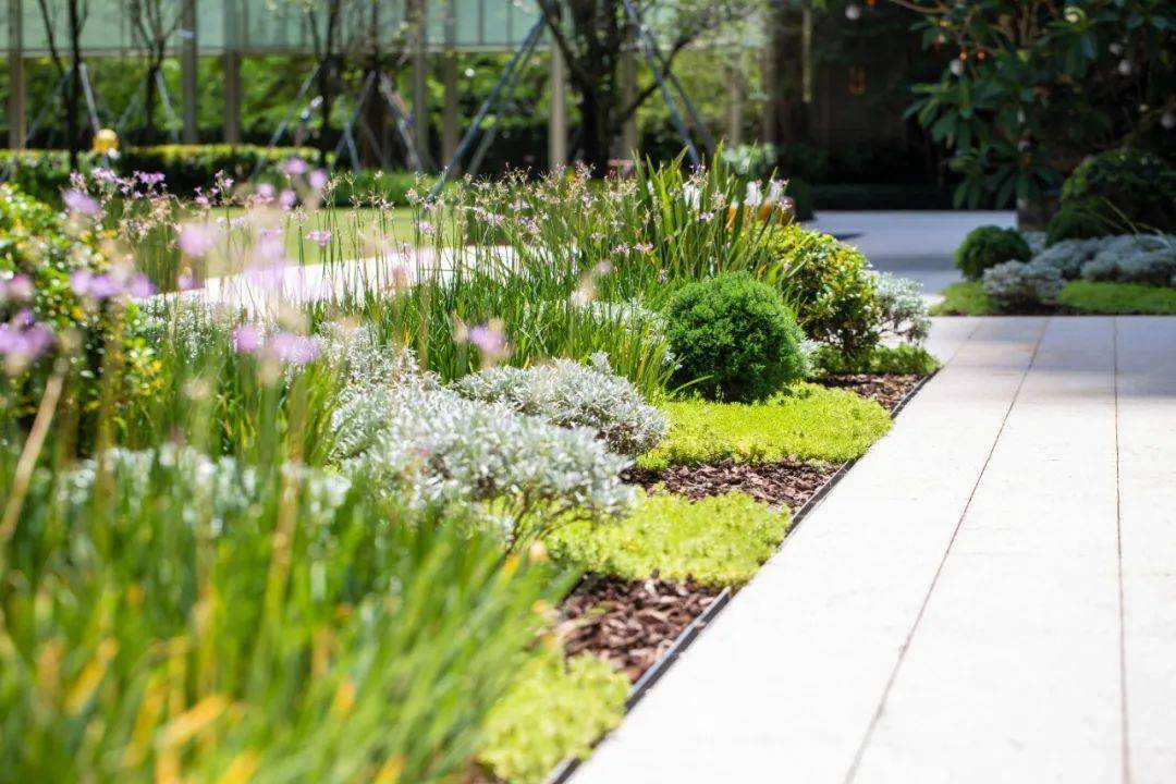 瑧山府的景观,让风景循礼导入,随行舒卷,植根都市,荫护家园.