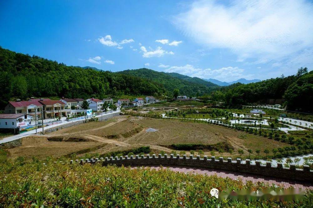 推进"美丽乡村"建设 助力乡村振兴战略_长坪镇