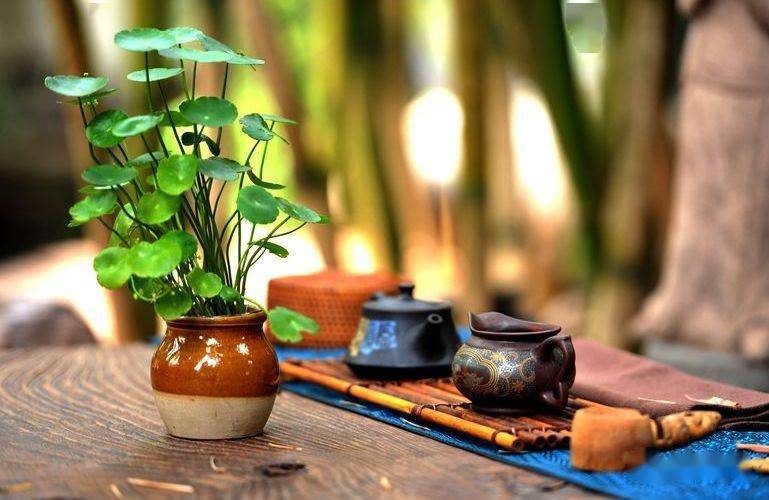 喝茶好处多多喝茶有好处