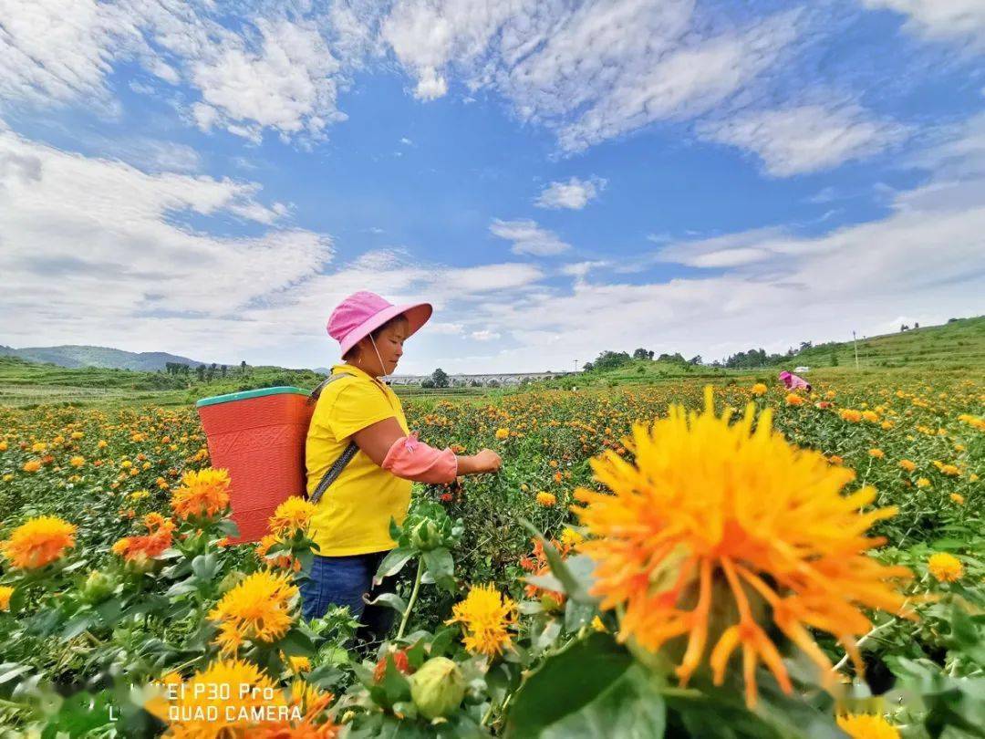 绿色黔南移动5g手机摄影大赛作品展示三