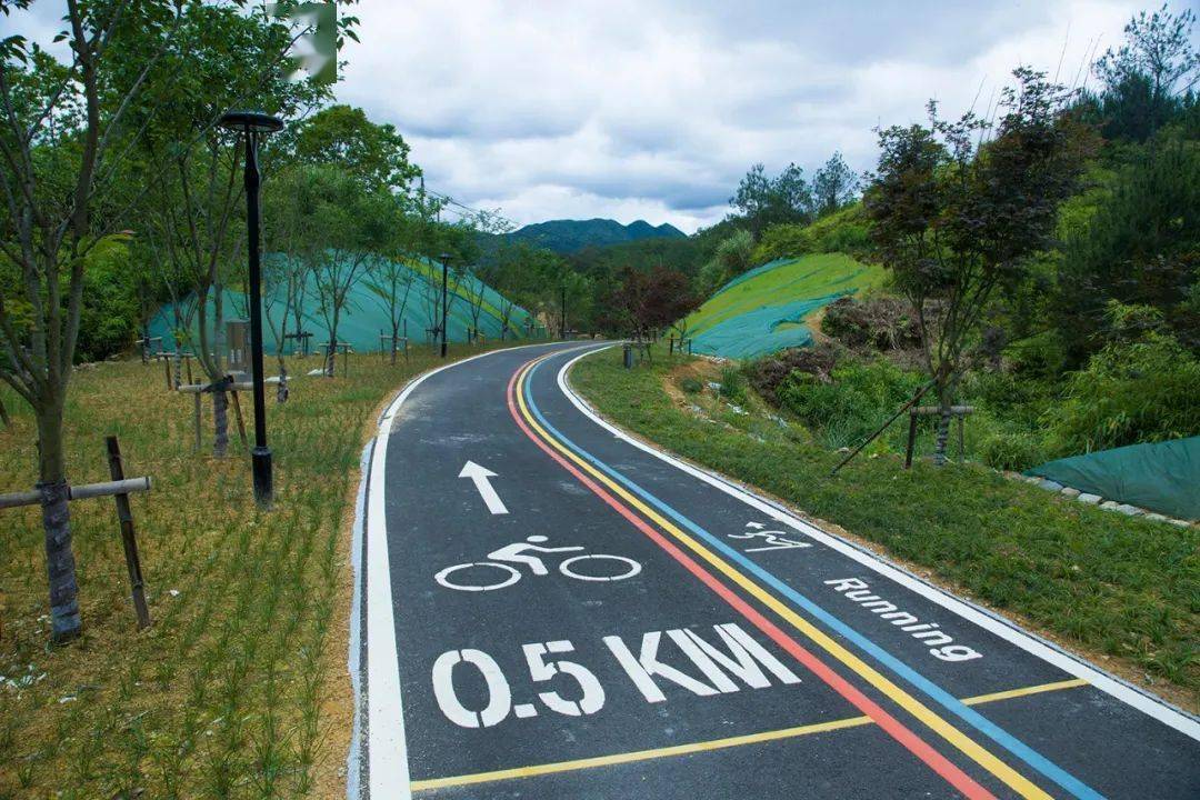 总长25公里泰顺最美骑行绿道来了