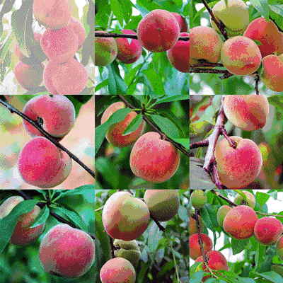 400_400gif 动态图 动图