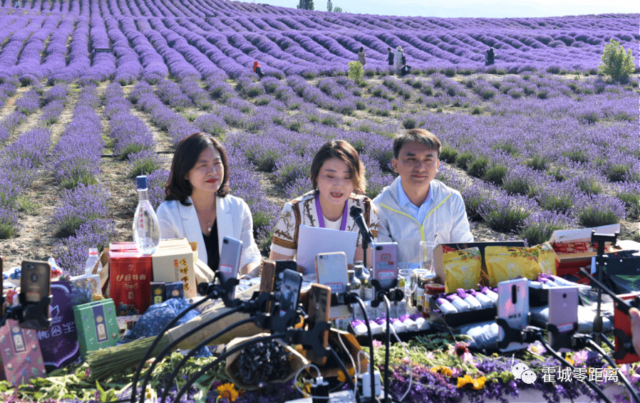 直播旅游花海漫直播线上游霍城国际旅游直播周启动