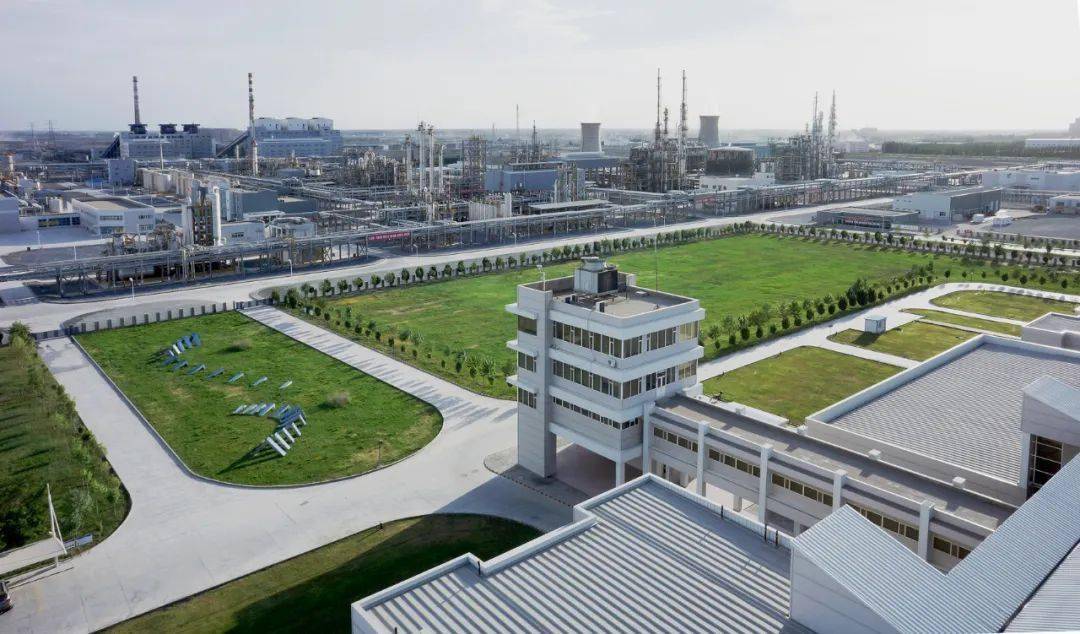 其中宋虎,王丽红,杨治斌获得个人答题王.竞赛由个人必答题,团队必答