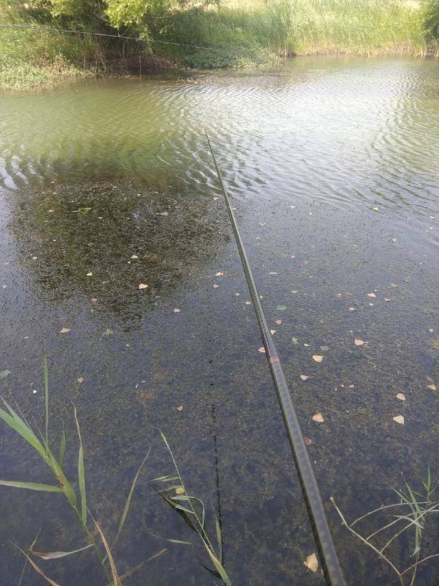 梅雨季节阴雨天怎样钓鱼浅谈个人观点