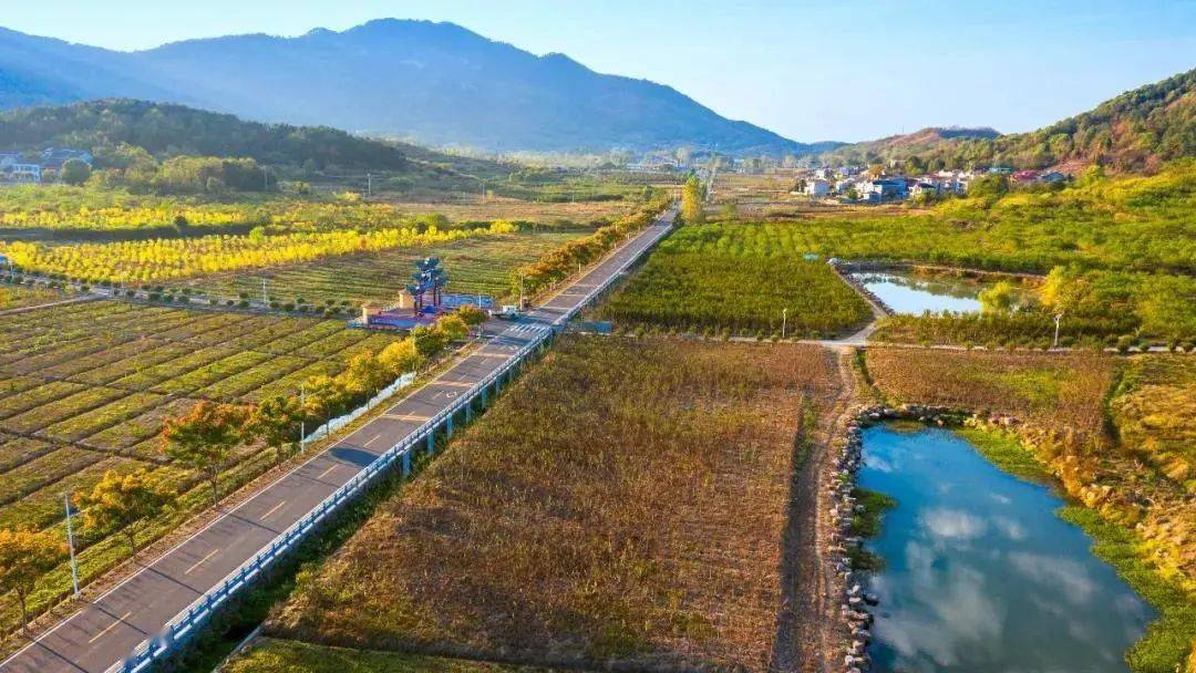 鄂州市鄂城区汀祖镇华伍村,位于鄂州市第一高峰——四峰山北麓,背靠"