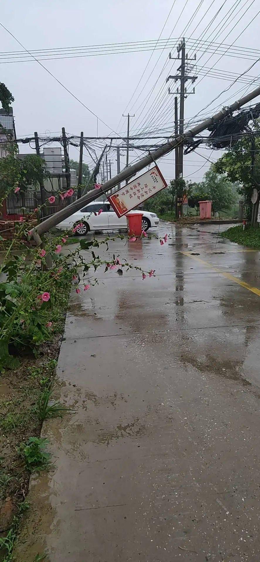 頭條狂風暴雨電閃雷鳴屋頂被掀電線杆大片倒伏昨晚栟茶經歷了什麼