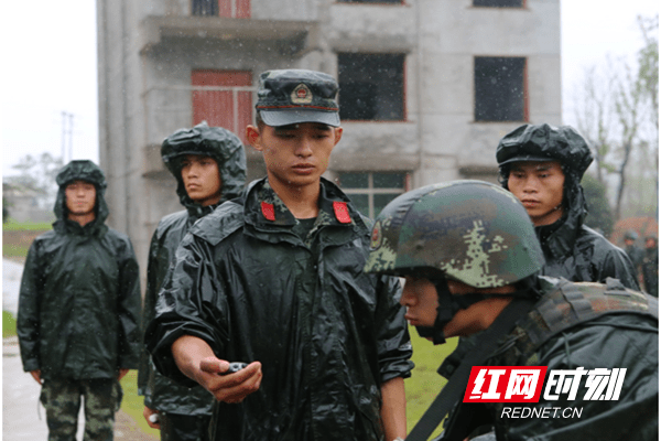 红网时刻株洲6月15日讯(通讯员 张博扬 杨小龙 陈源)六月的三湘大地