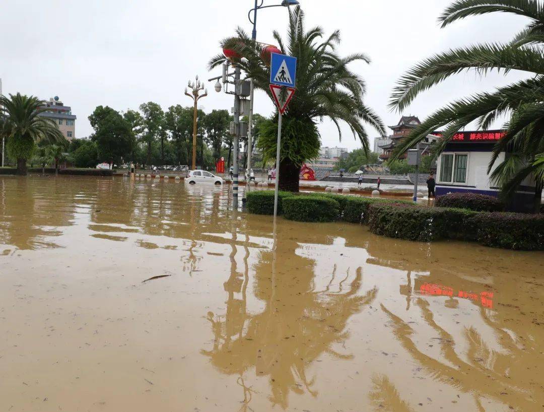 连夜暴雨引发内涝!罗平部分地区淹水严重
