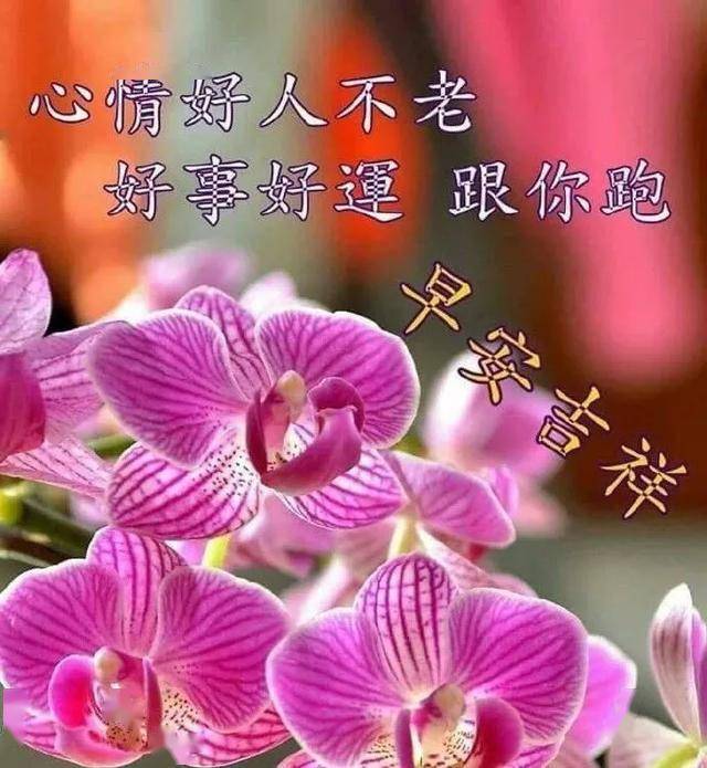 早安吉祥:對你祝福,不為什麼,只為你過得比我好,早上好