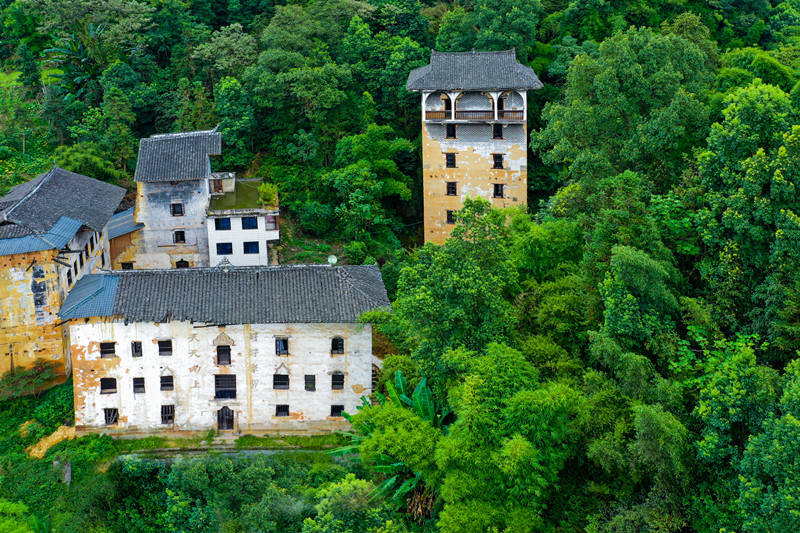 巴南区石龙镇党委书记袁强: 不可多得的天然氧吧石龙,让你 "心"醉忘