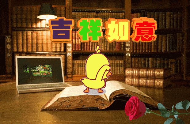 620_405gif 动态图 动图