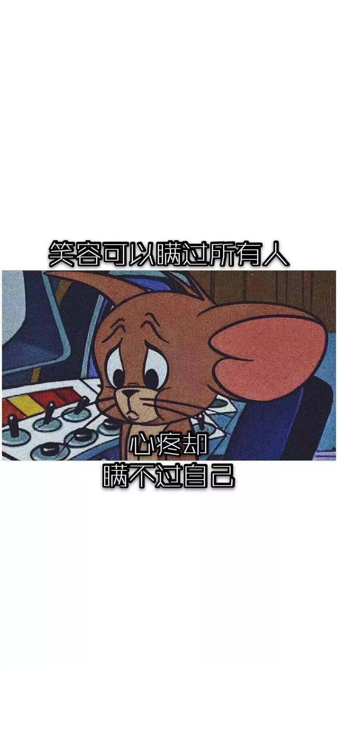 动漫壁纸 | 《猫和老鼠》 专题壁纸