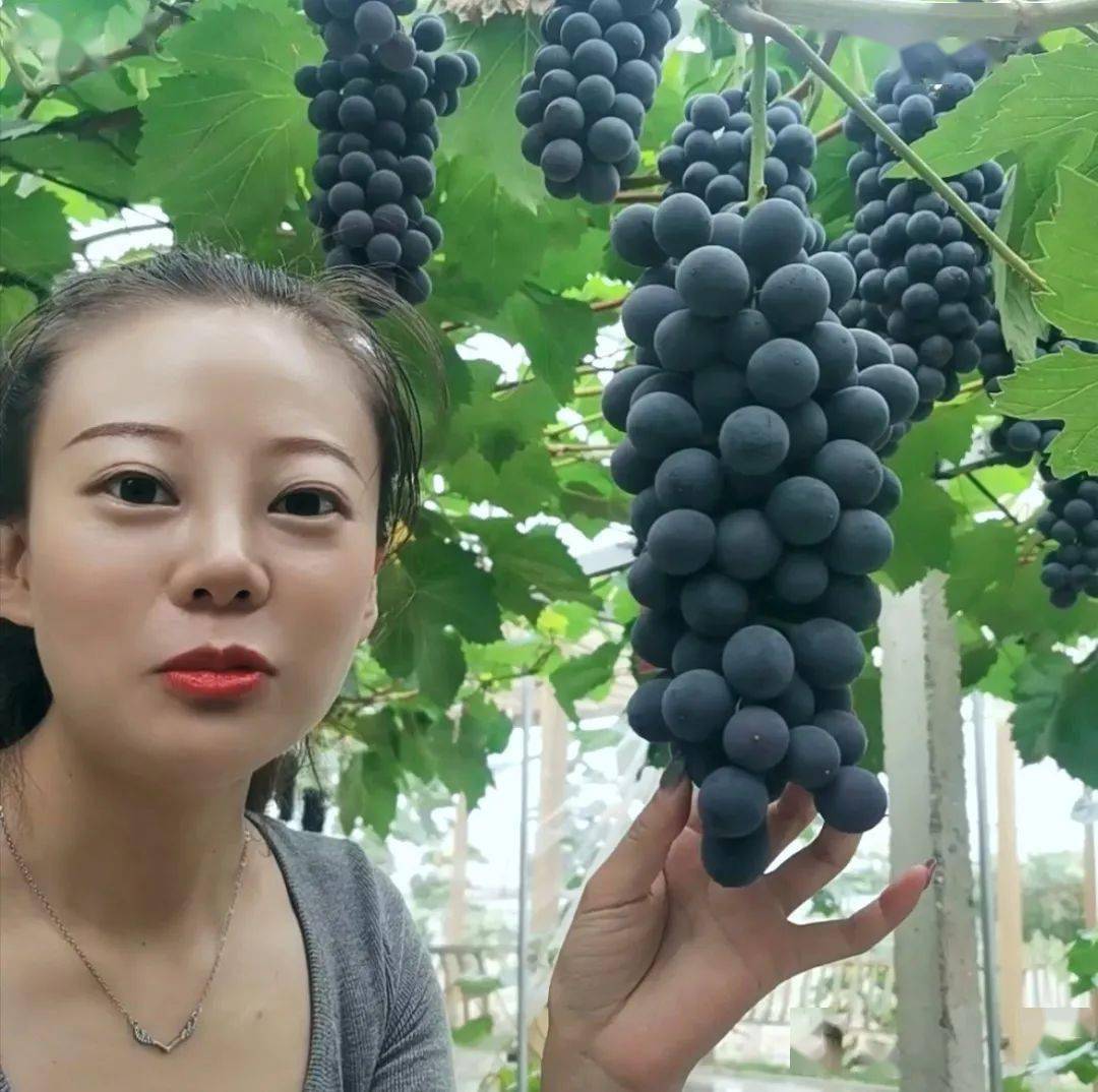 您的"黑珍珠"大波袭来~请注意查收_葡萄