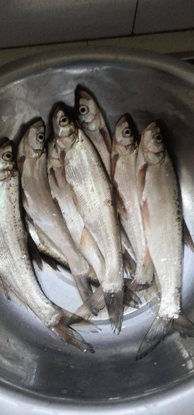 学会这些串钩钓翘嘴技巧夏季出钓让你收获满满